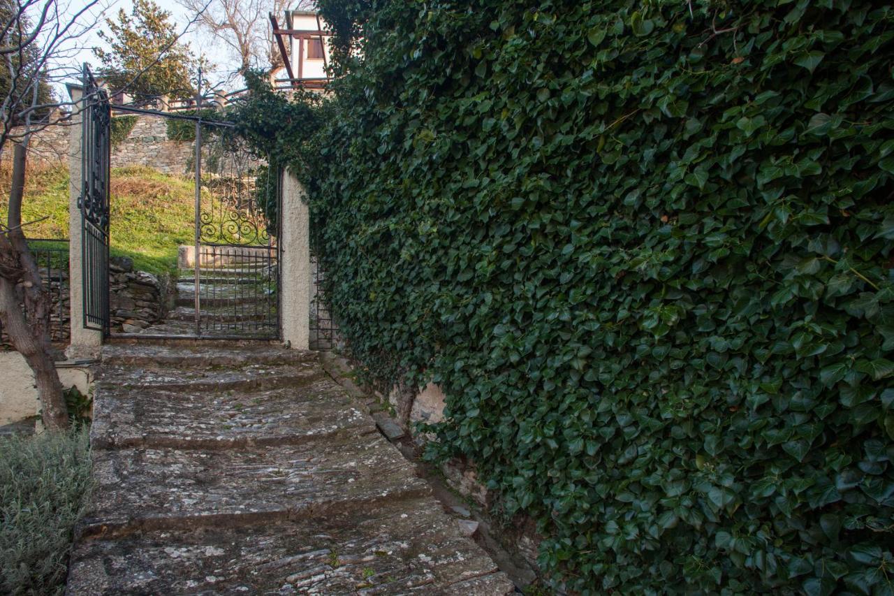 Villa Evridiki By Pelion Esties Agios Georgios Nileias Bagian luar foto